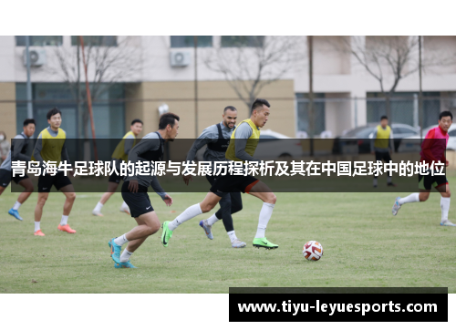 青岛海牛足球队的起源与发展历程探析及其在中国足球中的地位 青岛海牛足球队的起源与发展历程探析及其在中国足球中的地位