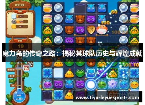 魔力鸟的传奇之路:揭秘其球队历史与辉煌成就 魔力鸟的传奇之路:揭秘其球队历史与辉煌成就