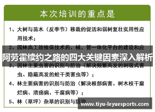 阿劳霍续约之路的四大关键因素深入解析 阿劳霍续约之路的四大关键因素深入解析
