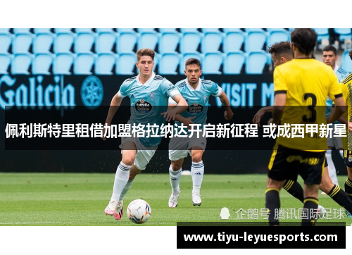 佩利斯特里租借加盟格拉纳达开启新征程 或成西甲新星 佩利斯特里租借加盟格拉纳达开启新征程 或成西甲新星